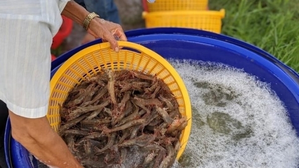 Skretting Vietnam aims for zero-emission aquaculture